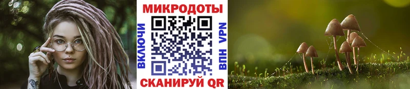 где купить   блэк спрут ссылка  Псилоцибиновые грибы ЛСД  Торжок 